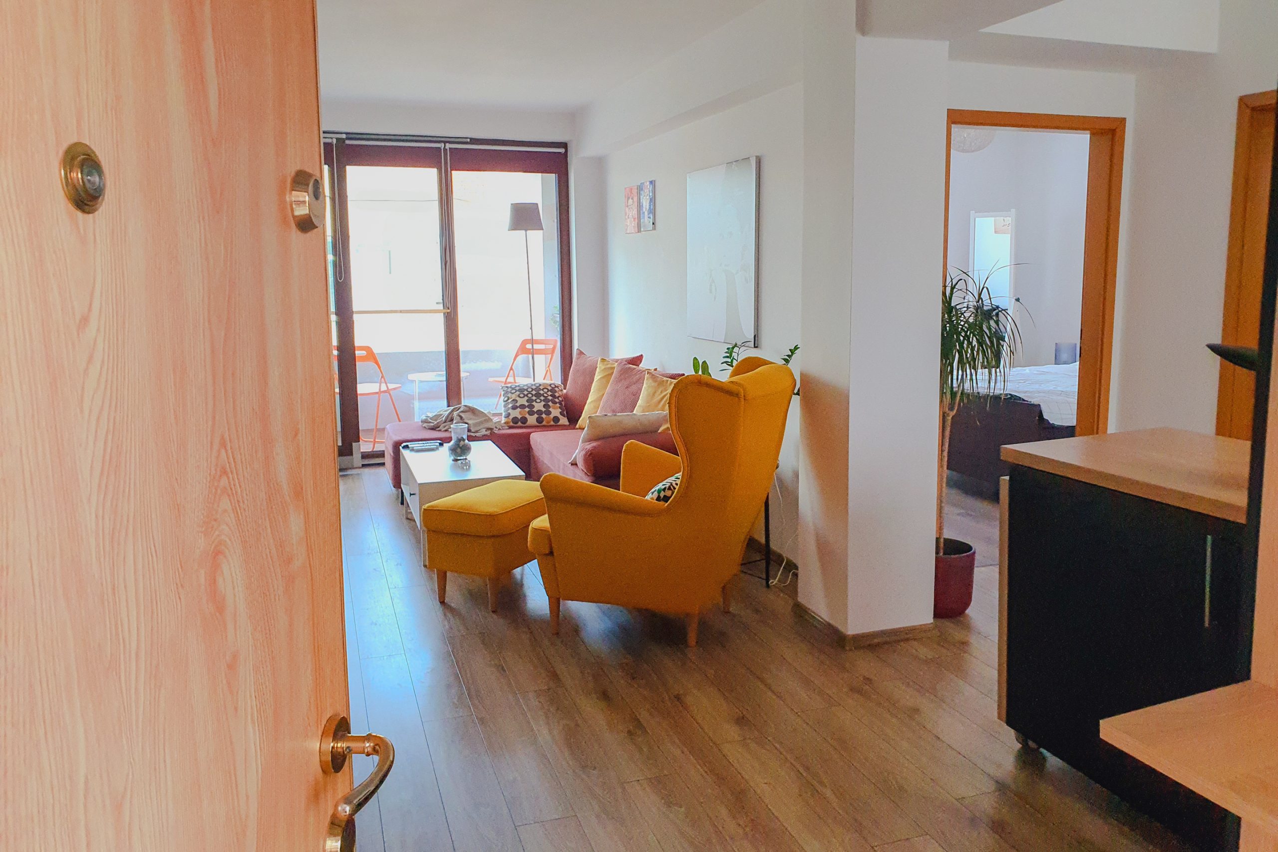 Bun venit prietenilor blănoși: Ospitalier oferă cazare pet-friendly în Timisoara